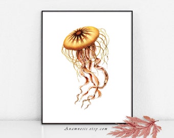 GRACEFUL JELLYFISH - Instant Digital Download - printable ocean illustration for prints, totes, pillows, nursery art - sealife home decor