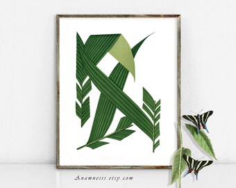 PALM TREE FRONDS 01 - digital image download - printable antique plant illustration retooled by Anamnesis - image transfer - totes, pillows