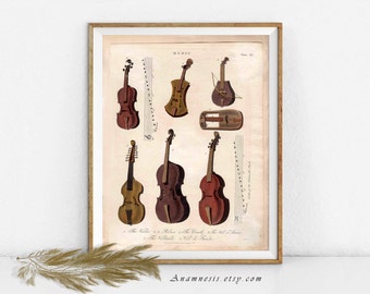 STRINGED MUSICAL INSTRUMENT Collage - digital download - printable 1800's music illustration - image transfer - totes, pillows, prints