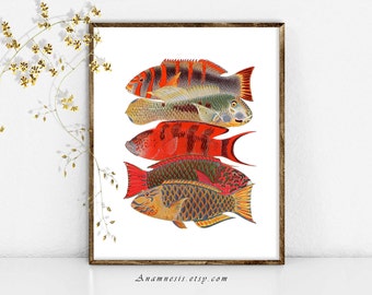 TROPICAL FISH Art Print - Printable Instant Download - sea life illustration for framing, totes, pillows, t-shirts - beach house wall decor