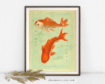 TWO GOLDFISH Print Digital Download - printable antique illustration for framing or transfer to totes, pillows, prints, cards, t-shirts