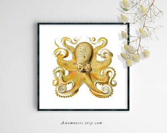 OCTOPUS IN GOLD Print - Instant Download - printable antique ocean illustration for framing or transfer to totes, cards, scrapbooking etc.