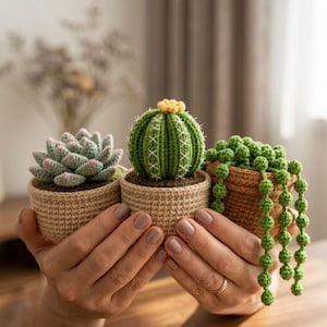 Peut inclure: Trois plantes en pot crochetées comprenant une succulente vert clair aux pointes roses, un cactus vert rond avec une fleur jaune au sommet et une plante à perles tombantes avec des billes vertes, chacune dans un petit pot en laine texturé.