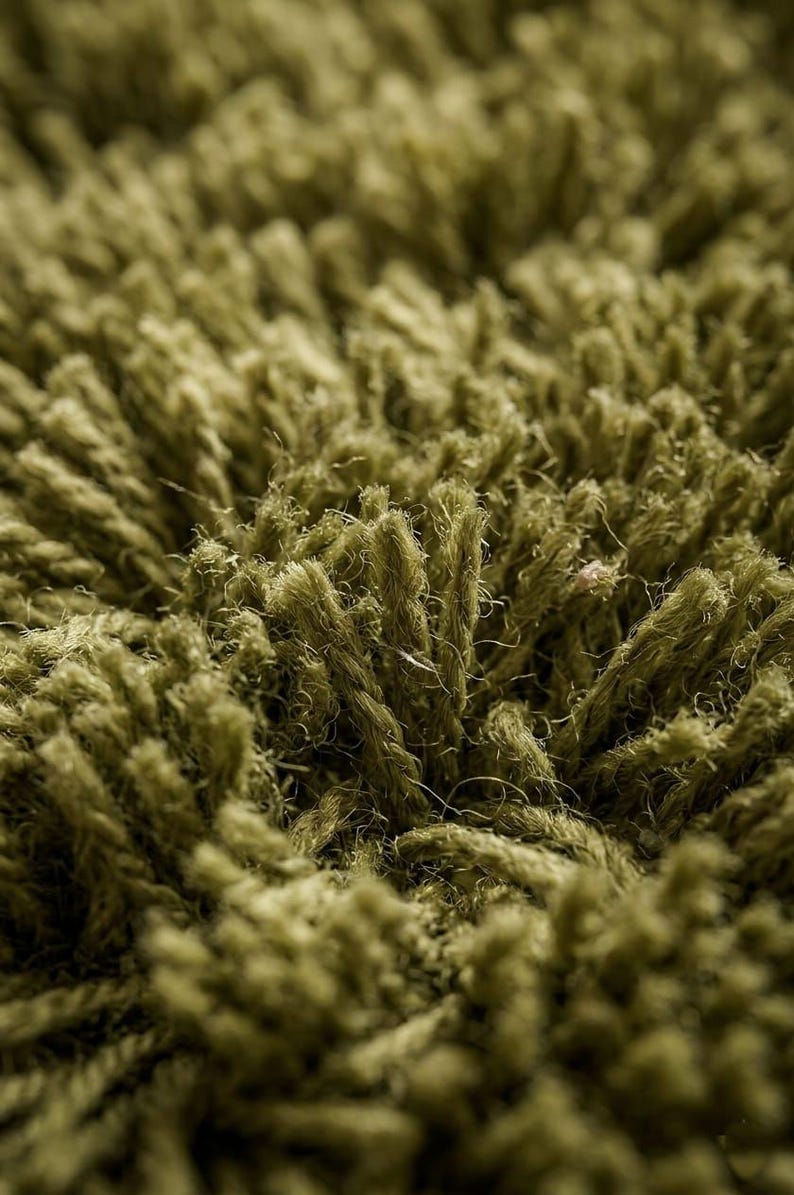Olive Green Outdoor Area Rug Modern Plush Carpet for Patio Balcony ...