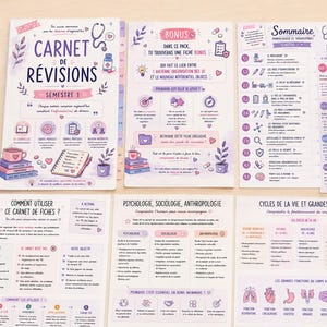 May include: A collection of study notebooks and reference sheets with colorful illustrations and text. The notebooks have titles like "CARNET DE RÉVISIONS" and "Sommaire". A mug with a heart design, pens, and sticky notes are also visible.