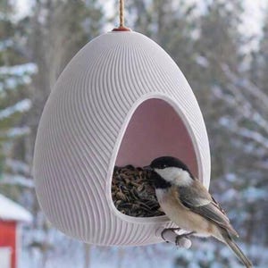Op de afbeelding: Een witte, eivormige vogelvoeder met een getextureerde, geribbelde buitenkant en een roze binnenkant. Een kleine vogel zit op een houten deuvel en eet zaden binnenin. De voederbak hangt aan een bruin touw tegen een vage winterachtergrond.