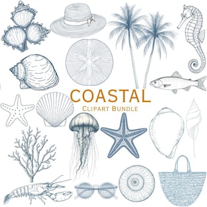 May include: A collection of blue line art illustrations featuring seashells, a sun hat, palm trees, a seahorse, a fish, a starfish, a jellyfish, coral, a lobster, sunglasses, and a tote bag, with the text COASTAL CLIPART BUNDLE in the center.
