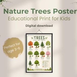 Könnte beinhalten: Ein rechteckiges Lehrplakat mit dem Titel TREES Look Learn Explore, das Illustrationen verschiedener Baumarten wie Ahorn, Eiche, Kiefer, Birke, Weide, Kastanie, Apfelbaum, Kirschbaum, Fichte und Buche sowie beschreibende Texte dazu enthält.