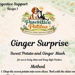 Könnte beinhalten: Eine Rezeptkarte für "Ginger Surprise", ein Süßkartoffel- und Ingwer-Püree für Haustiere. Die Karte zeigt ein Logo mit einem Hund und einer Katze sowie den Text "Digestive Support" und "Recipe 1."