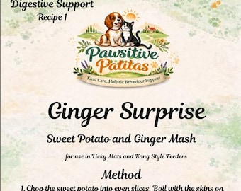 Ginger Dog Treat Recipe | Motion Sickness, Digestion Support | Licky Mat Kong Fill (Digital Download)