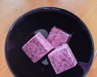 Dog Berry Ginger Frozen Yogurt Treats Recipe (Digital Download)