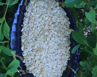 Ash guard kernels