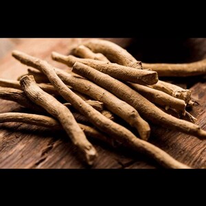 May include: A collection of light brown, dried, woody roots with a rough, fibrous texture. The roots are cylindrical, elongated, and vary in thickness, displaying natural irregularities and earthy tones throughout their surface structure.