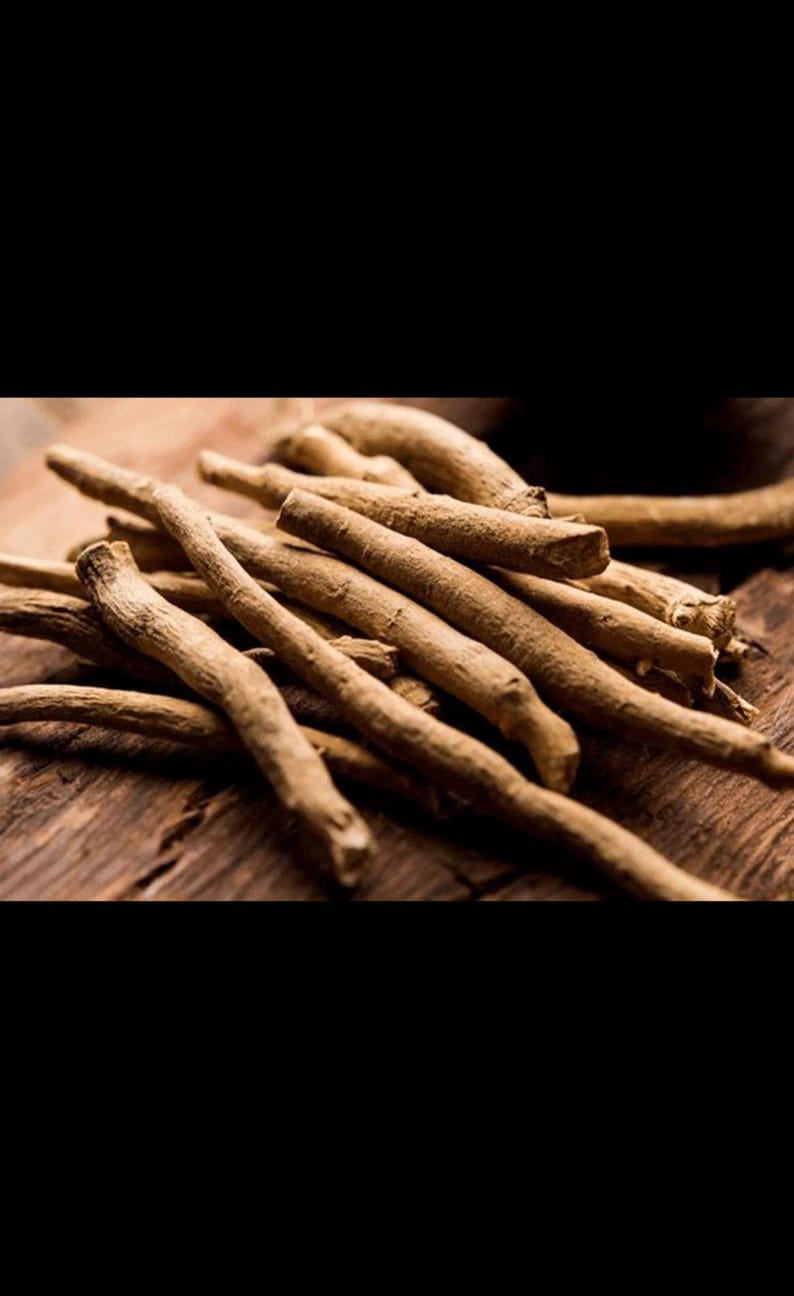 May include: A collection of light brown, dried, woody roots with a rough, fibrous texture. The roots are cylindrical, elongated, and vary in thickness, displaying natural irregularities and earthy tones throughout their surface structure.