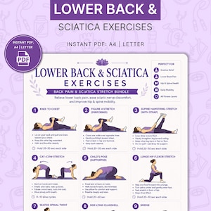 May include: An A4-sized PDF infographic detailing "Lower Back & Sciatica Exercises" in purple and white. The guide features illustrated exercises to alleviate back pain, ease sciatic nerve discomfort, and improve hip and spine mobility. Exercises include Knee to Chest and Figure 4 Stretch.