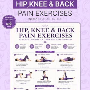 May include: A purple and white infographic titled "Hip, Knee & Back Pain Exercises" with illustrations of exercises. The PDF document includes exercises for warm-up, mobility, strengthening, and support. Text includes "Reduce Pain" and "Improve Mobility".