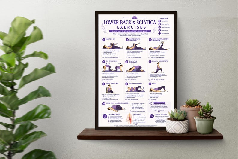 Lower Back and Sciatica Exercises Printable | Back Pain Sciatica ...