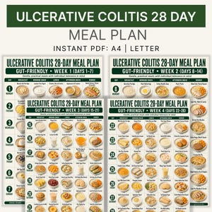 May include: A digital 28-day meal plan for ulcerative colitis, presented as four A4 and letter-sized PDF pages. Each page features a grid layout with daily meal suggestions for breakfast, snacks, lunch, and dinner, including text labels.