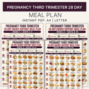 May include: A digital meal plan document titled Pregnancy Third Trimester 28 Day Meal Plan, available as an instant PDF in A4 and Letter sizes. The document features four weekly charts with daily food illustrations and nutritional guidelines.