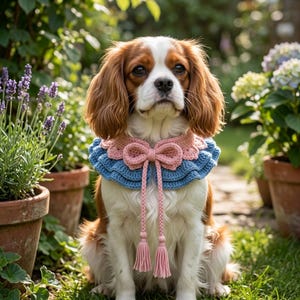 May include: A Cavalier King Charles Spaniel dog wearing a handmade crochet collar. The collar is blue and pink, with a bow and tassels. The dog is in a garden with potted plants and green grass.