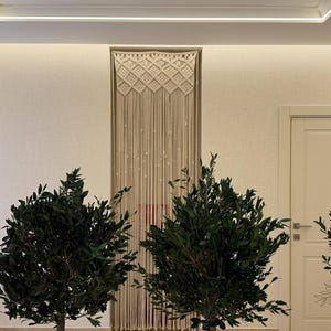 May include: An off-white macrame wall hanging featuring a diamond-patterned top section with long, vertical fringe strands. The piece is positioned in a recessed wall niche between two potted green trees in a room with light-colored walls.