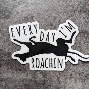 May include: A white sticker featuring a black cockroach silhouette and the text "EVERY DAY I'M ROACHIN'". The sticker is on a grey surface.