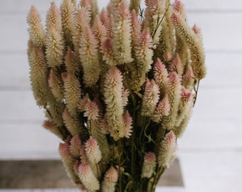 Dried Flower Arrangement