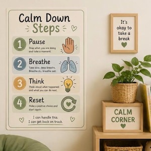 May include: A wall-mounted sign with the words "Calm Down Steps" and instructions for pausing, breathing, thinking, and resetting. A framed print says "It's okay to take a break." A small plant in a woven basket sits on a wooden shelf.