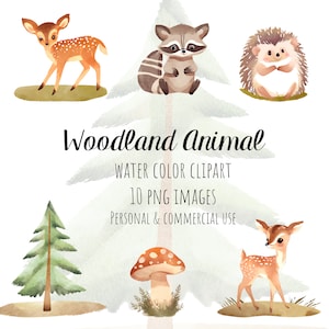Woodland Animal Clipart, Woodland Clipart, Watercolor Forest Clipart, Mushroom Clipart, Woodland Baby Shower Clipart, Forest Animal Clipart