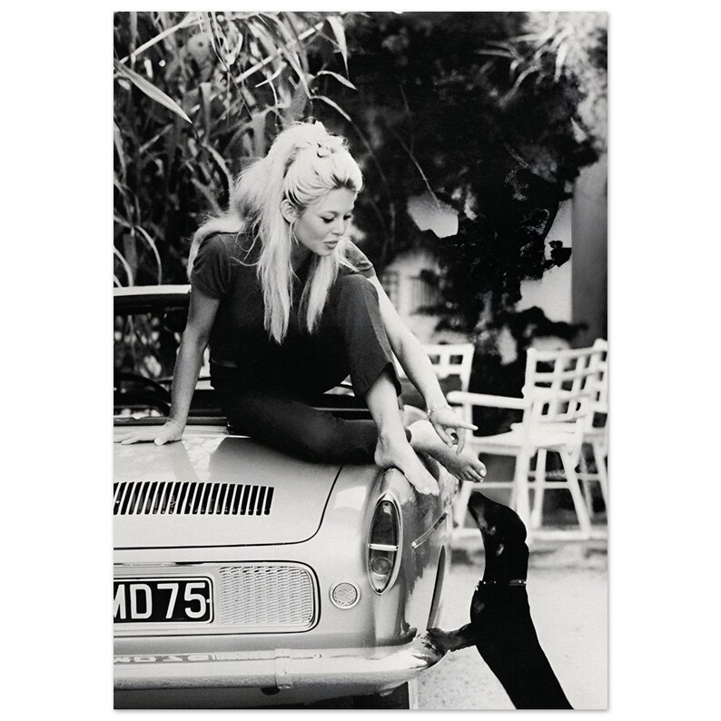Brigitte Bardot with Dog Poster, Black and White Wall Art, Vintage Print, Photography Print, Museum Quality Photo Art Print image 4