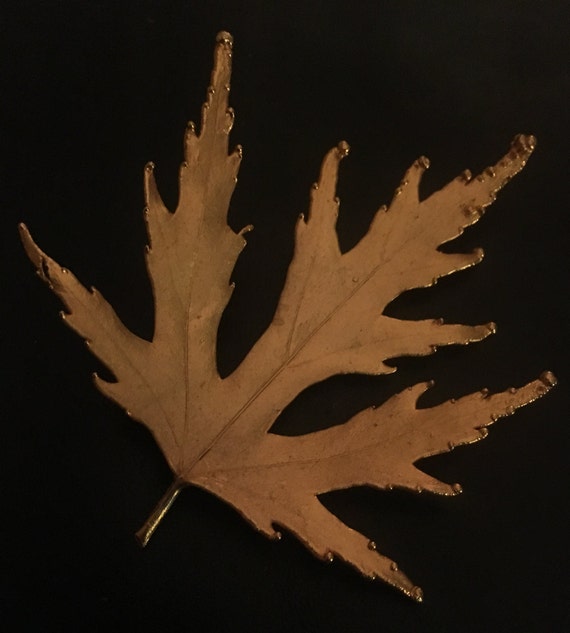 Gold Dipped Silver Maple Leaf Brooch: Realistic A… - image 3