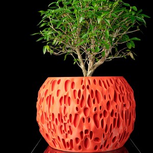 Spotted Planter Pot