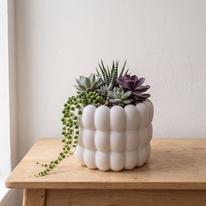 Puede incluir: Una maceta de cerámica blanca con una textura redondeada similar a burbujas que contiene una variedad de suculentas, incluyendo una planta de collar de perlas colgante, una roseta morada oscura y una Haworthia rayada.