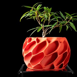 Pode incluir: Um vaso de plantas laranja vibrante com um padrão geométrico complexo de favo de mel com reentrâncias ovais profundas. Uma pequena planta verde com folhas finas e pontiagudas cresce a partir do centro do recipiente arredondado e texturizado.