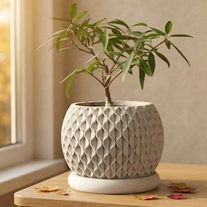 Può includere: Un vaso rotondo color grigio chiaro con un motivo testurizzato a onde verticali ripetute sull'esterno. Il vaso poggia su una base circolare liscia e contiene una piccola pianta verde con foglie sottili e appuntite e un fusto legnoso.