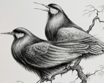 カラスのペアのインクイラスト、署名入りゴシックバードアート