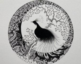 Bird Drawing is a beautiful unframed original silhouette pen and ink black and white crested bird in a tree with moon and stars wall decor