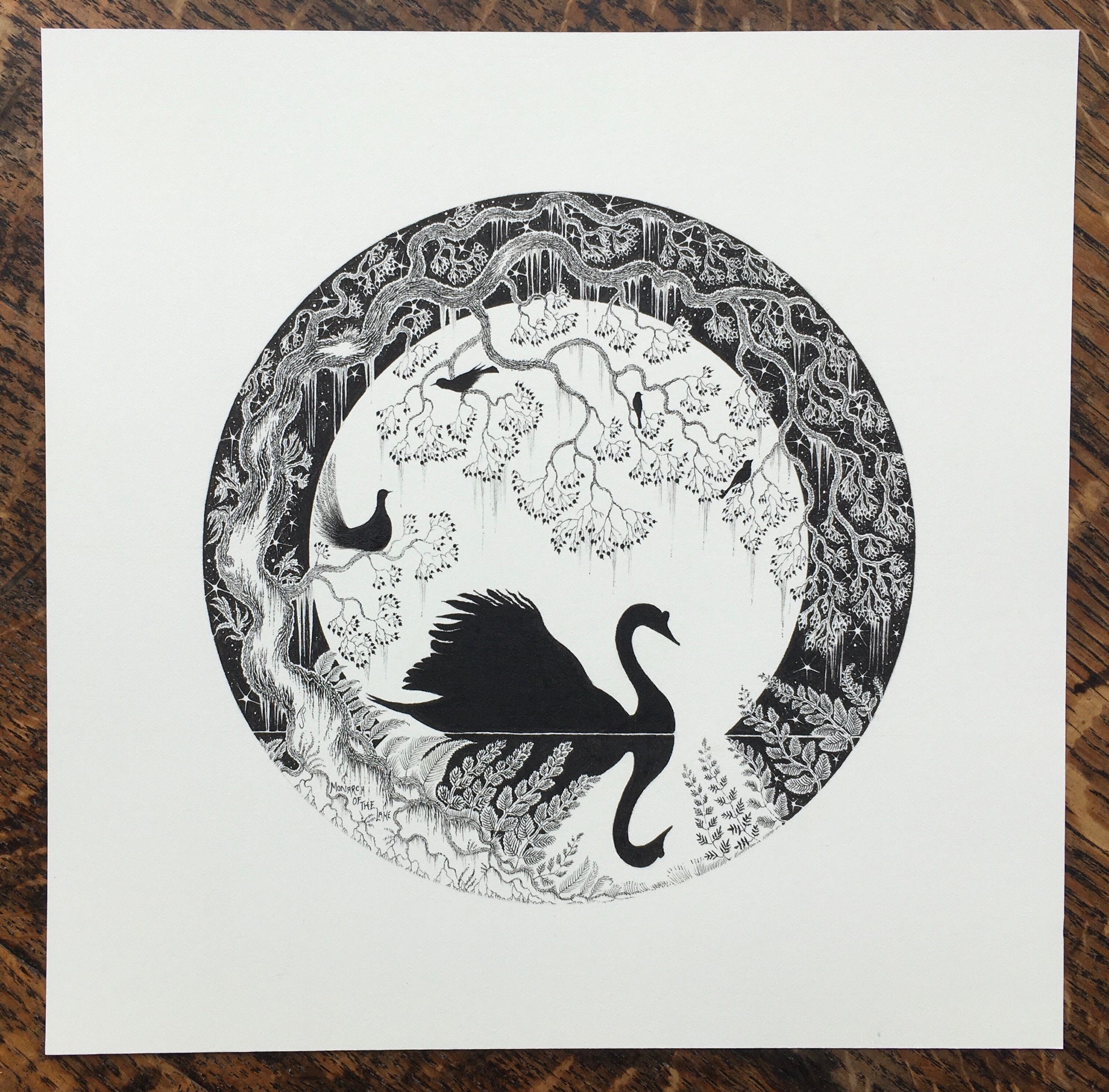 Swan Ink Drawing Swan Original Illustration and Bird Wall Art and Pen and Ink Drawing ...