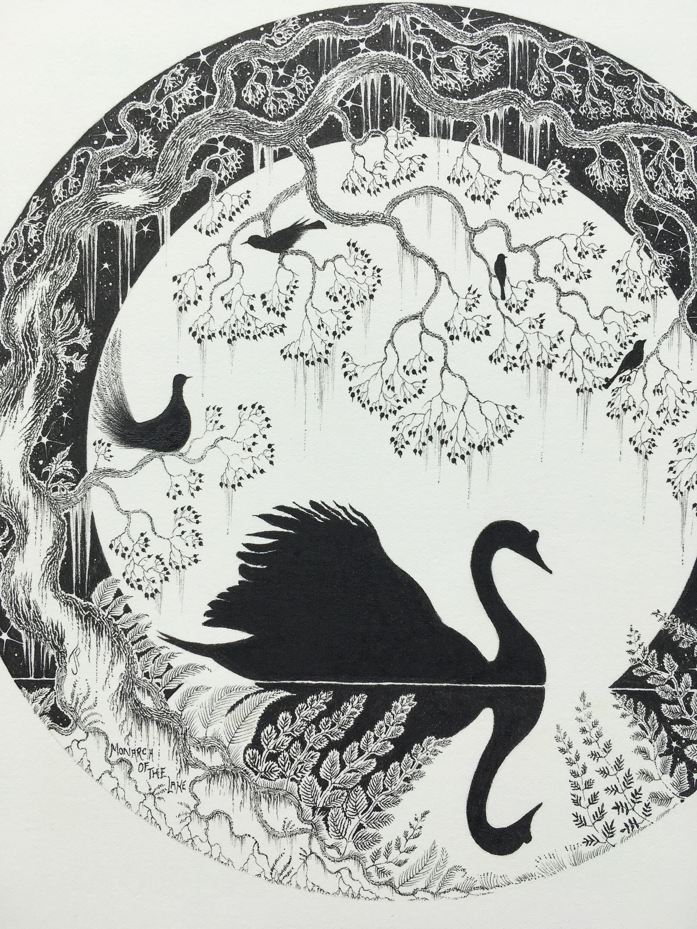 Swan Ink Drawing Swan Original Illustration and Bird Wall Art and Pen and Ink Drawing ...