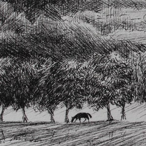 Puede incluir: Un dibujo en blanco y negro a pluma y tinta de un caballo pastando en un campo con una hilera de &aacute;rboles detr&aacute;s.