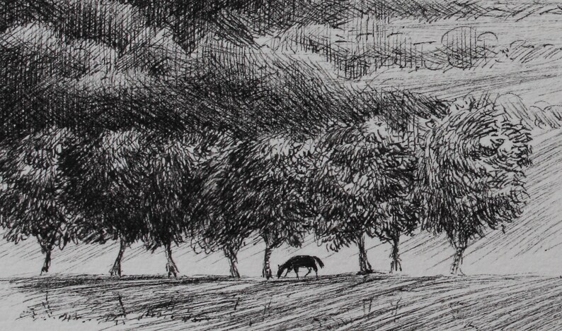 Puede incluir: Un dibujo en blanco y negro a pluma y tinta de un caballo pastando en un campo con una hilera de &aacute;rboles detr&aacute;s.