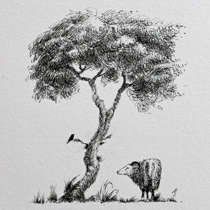 Mounted Sheep Illustration and sheep pen drawing and sheep picture and sheep ink and sheep pen art and sheep with tree and sheep unframed