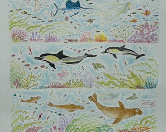 額装されていないオリジナルの水彩画イラスト。海の生き物、美しいイルカ、カメ、サンゴ、海の風景、タツノオトシゴ、熱帯魚が描かれています。