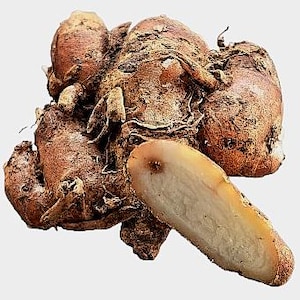 May include: A raw, brown, knobby ginger root cluster with a rough, earthy texture and fibrous skin. One section of the root is sliced open, revealing a pale, creamy, and moist interior flesh with a visible fibrous grain and a light beige color.
