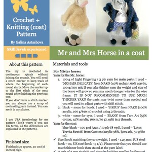 048 Crochet Pattern Mrs and Mr Horse in a coat coat is knitted Amigurumi PDF file by Astashova Etsy image 2