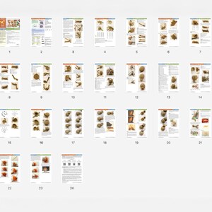 May include: A set of 24 pages with detailed instructions and diagrams for crocheting a variety of amigurumi animals. The pages are printed on white paper with black text and illustrations.