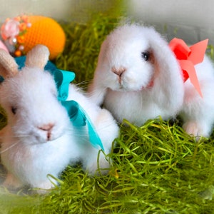 219 Crochet Pattern - Easter Bunny Rabbit - Amigurumi soft toy PDF file by Ogol Etsy