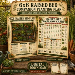 6x6 Raised Bed Companion Planting Plan Printable | Vegetable Garden Layout Chart PDF Download