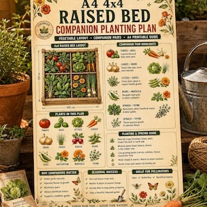 May include: A rectangular informational poster titled A4 4x4 RAISED BED COMPANION PLANTING PLAN. It features illustrations of vegetables, flowers, and herbs, with text detailing companion pairs, planting layouts, and spacing guides in inches.