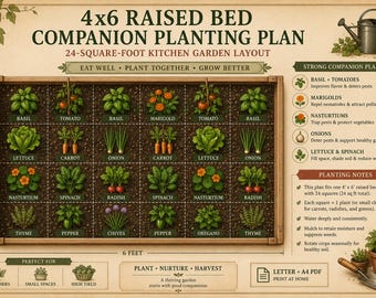 4x6 Raised Bed Companion Planting Plan | Vegetable Garden Layout | Backyard Beginner Garden Printable